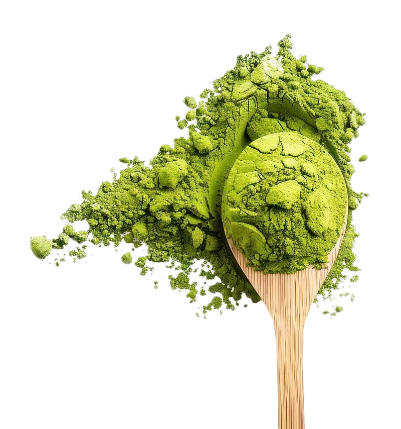 chjpdmf0zs9sci9pbwfnzxmvd2vic2l0zs8ymdi0ltewl3jhd3bpegvsb2zmawnlof9wag90b19vzl9ncmvlbl9tyxrjagffcg93zgvyx2lux2ffc3bvb25fd2l0af90zv9jzjkwnje3zc1indbhltqzzjutymy3ns00nthiyznkyzvjzmrfms5wbmc